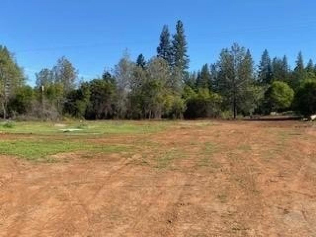 Picture of Residential Land For Sale in Penn Valley, California, United States