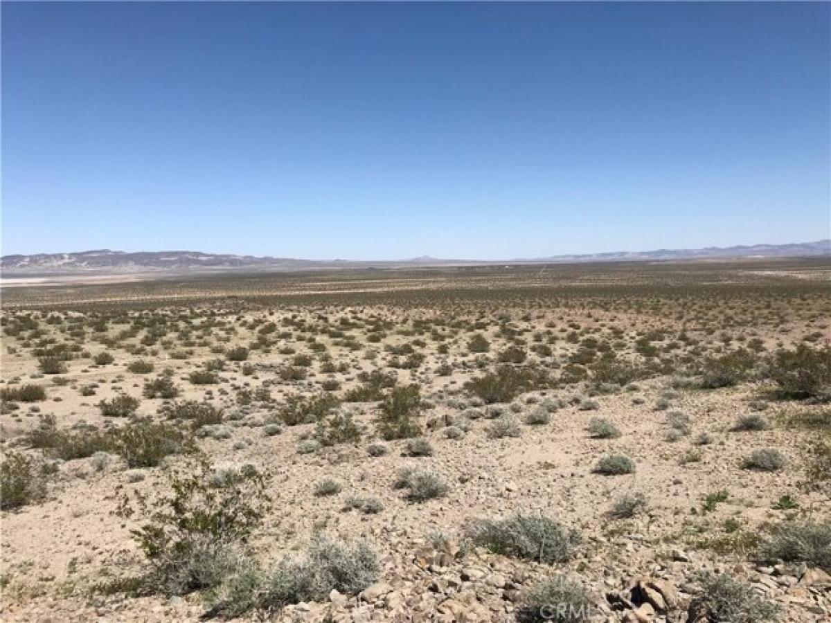 Picture of Residential Land For Sale in Newberry Springs, California, United States