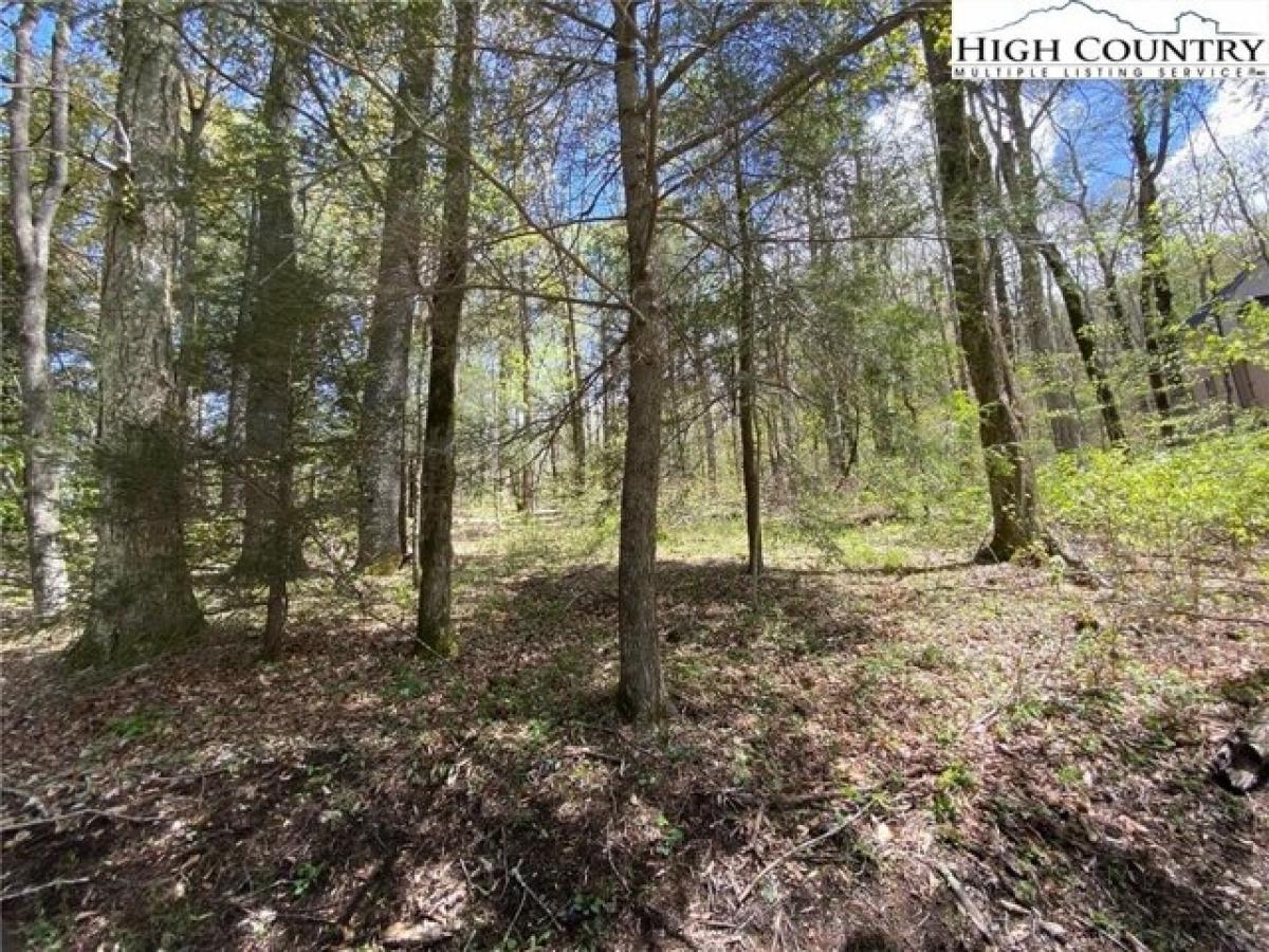 Picture of Residential Land For Sale in Linville, North Carolina, United States