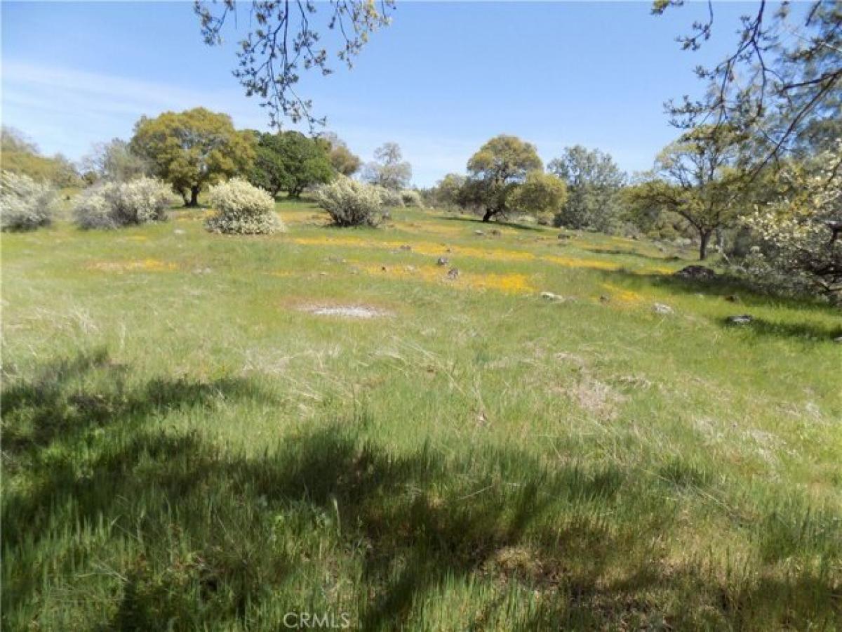 Picture of Residential Land For Sale in El Dorado, California, United States