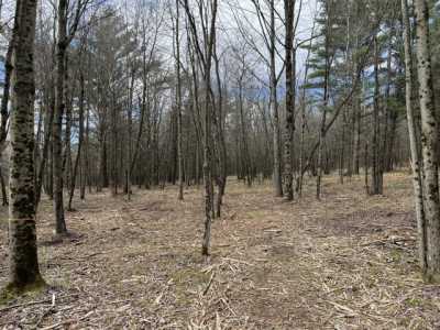 Residential Land For Sale in Newaygo, Michigan