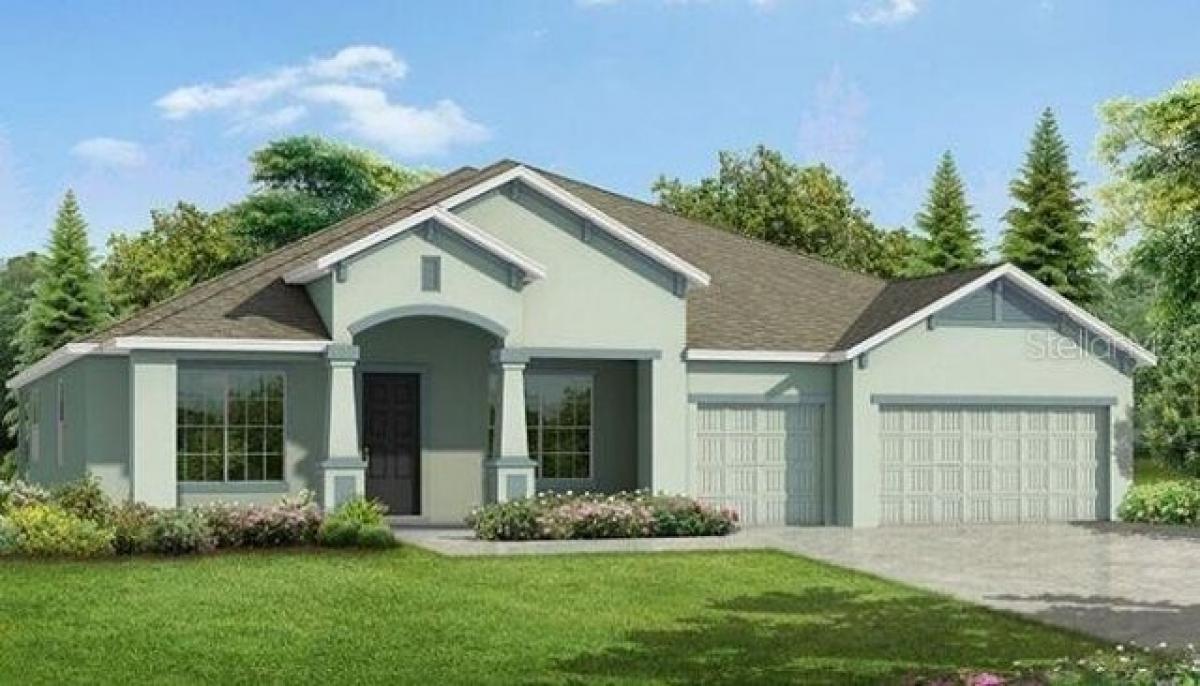 Picture of Home For Sale in Thonotosassa, Florida, United States