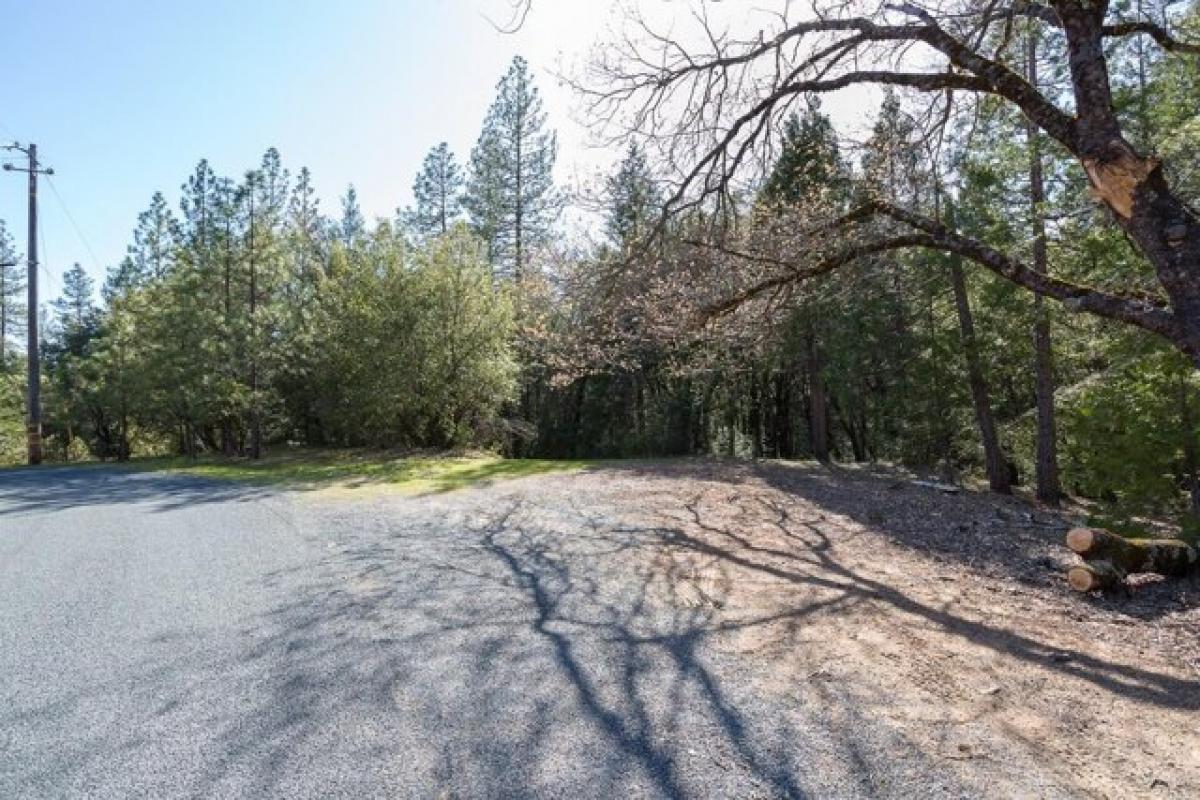 Picture of Residential Land For Sale in Georgetown, California, United States