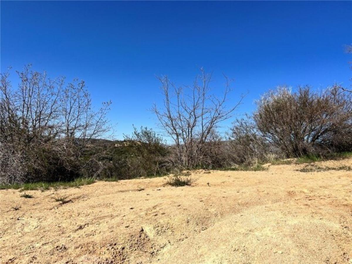 Picture of Residential Land For Sale in Cedar Glen, California, United States