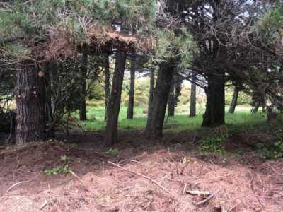 Residential Land For Sale in Bolinas, California
