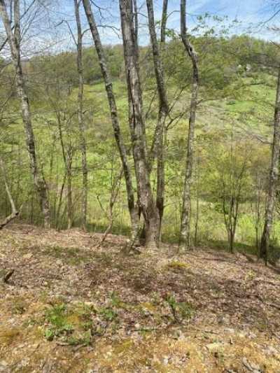Residential Land For Sale in Mouth of Wilson, Virginia