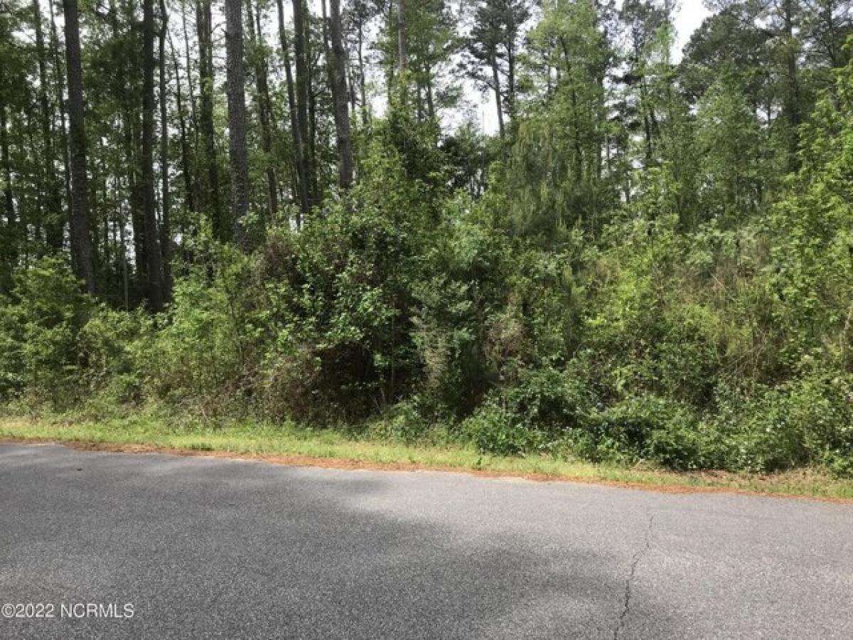 Picture of Residential Land For Sale in Whiteville, North Carolina, United States