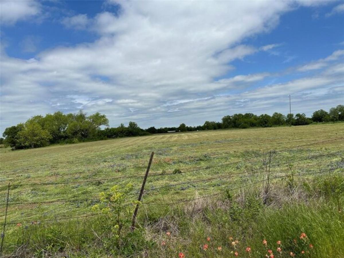 Picture of Residential Land For Sale in Powell, Texas, United States
