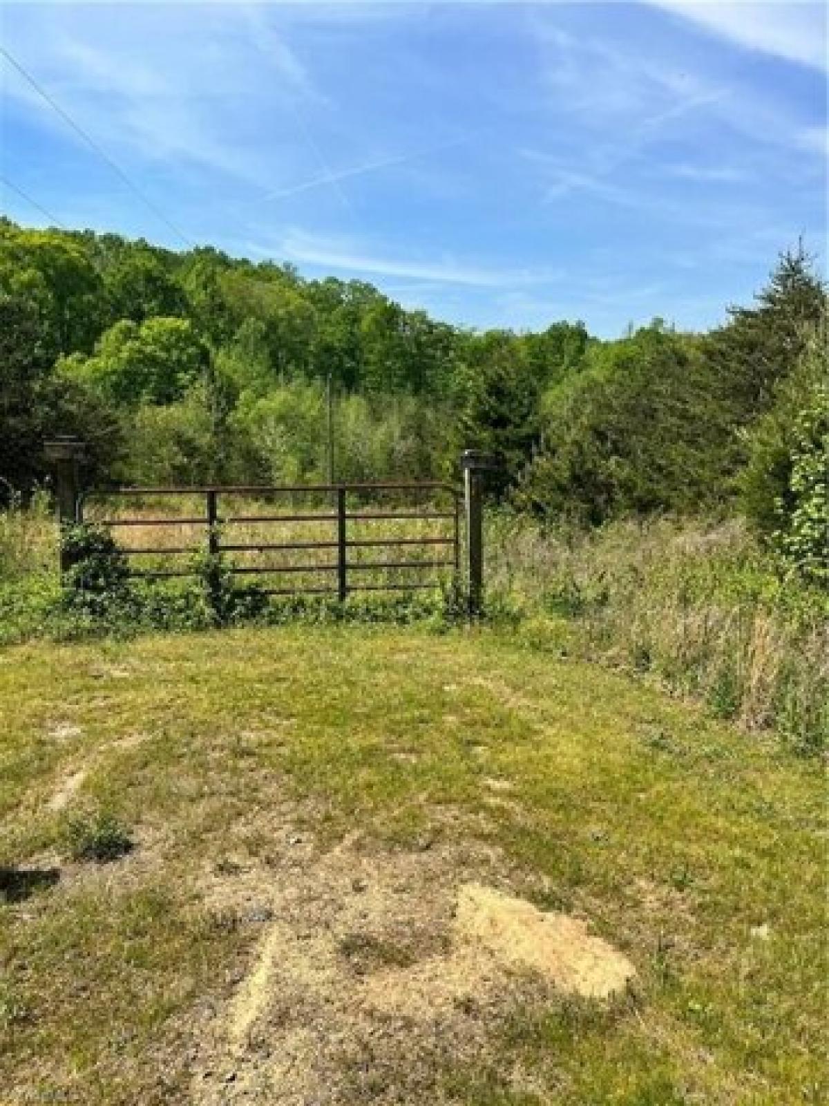 Picture of Residential Land For Sale in Walkertown, North Carolina, United States