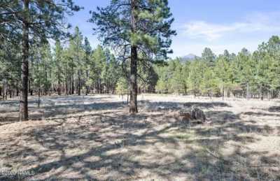Residential Land For Sale in Flagstaff, Arizona
