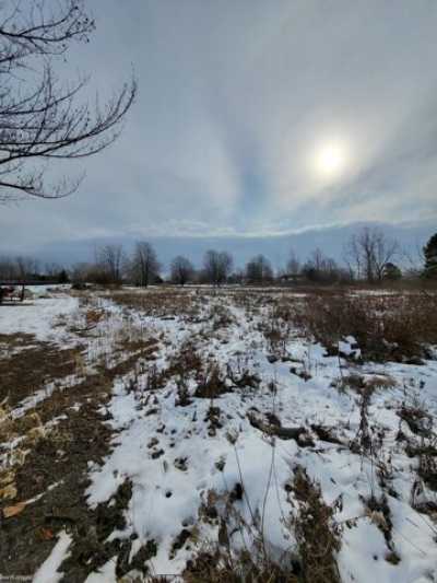 Residential Land For Sale in Goodells, Michigan
