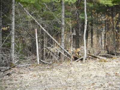 Residential Land For Sale in McMillan, Michigan