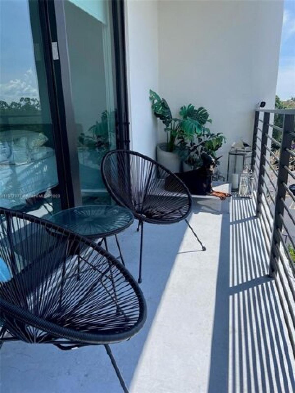 Picture of Apartment For Rent in South Miami, Florida, United States