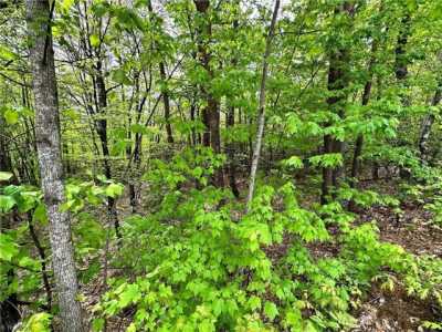 Residential Land For Sale in Purlear, North Carolina