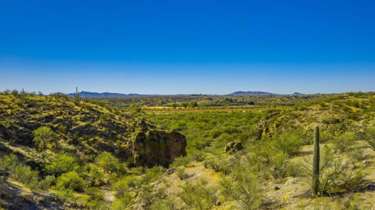 Picture of Residential Land For Sale in Wickenburg, Arizona, United States