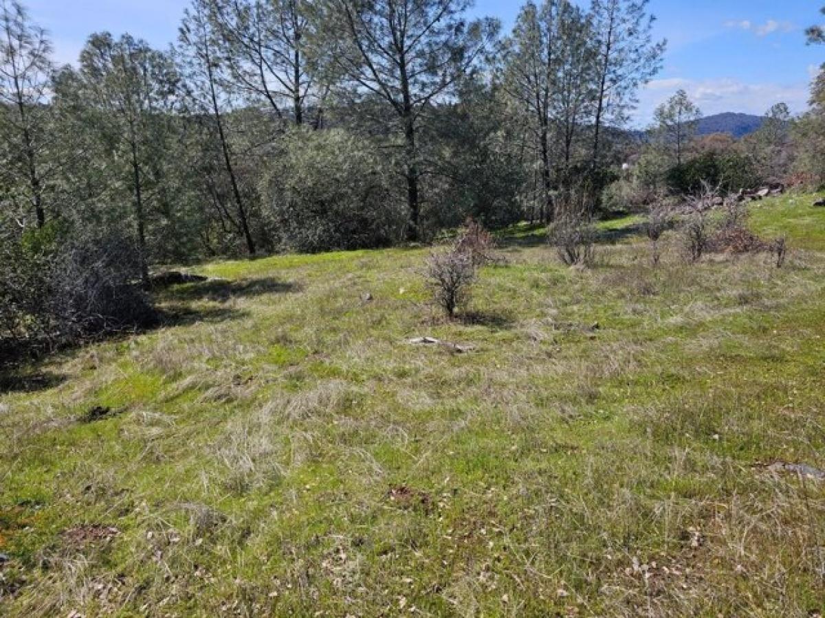 Picture of Residential Land For Sale in Penn Valley, California, United States
