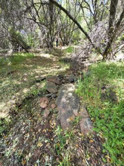 Residential Land For Sale in Angels Camp, California