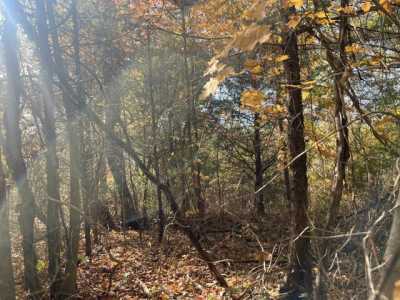 Residential Land For Sale in Tennessee Ridge, Tennessee