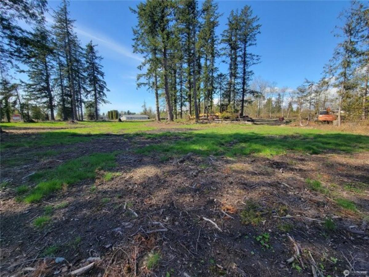 Picture of Residential Land For Sale in Custer, Washington, United States