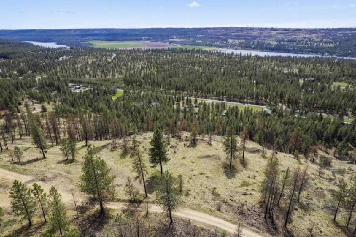 Picture of Residential Land For Sale in Nine Mile Falls, Washington, United States