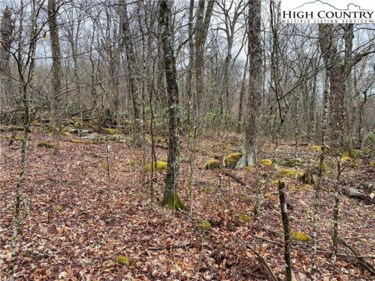 Picture of Residential Land For Sale in Sugar Mountain, North Carolina, United States