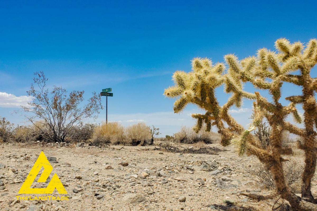 Picture of Residential Land For Sale in Twentynine Palms, California, United States