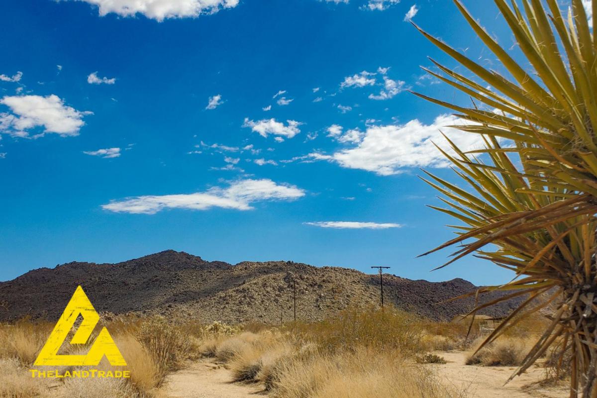 Picture of Residential Land For Sale in Twentynine Palms, California, United States
