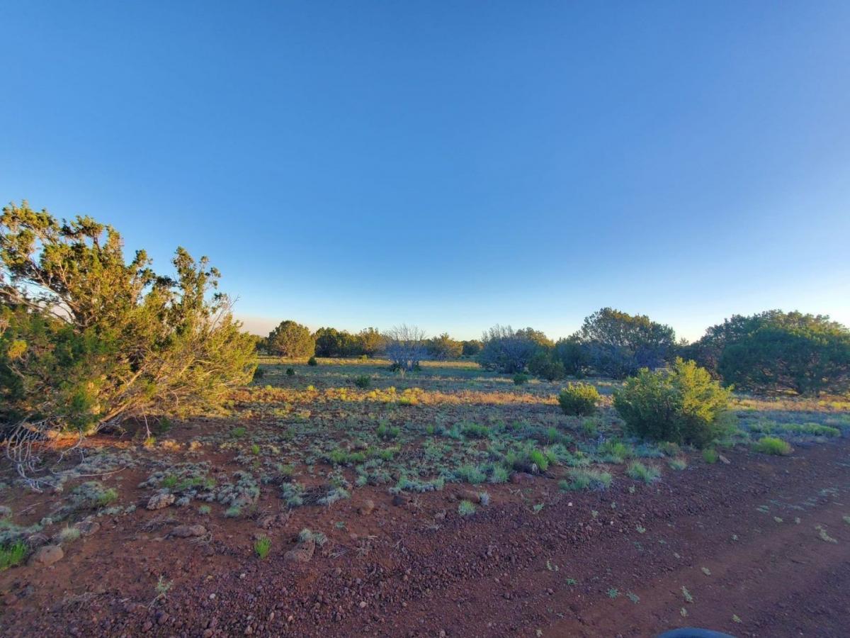 Picture of Residential Land For Sale in Saint Johns, Arizona, United States