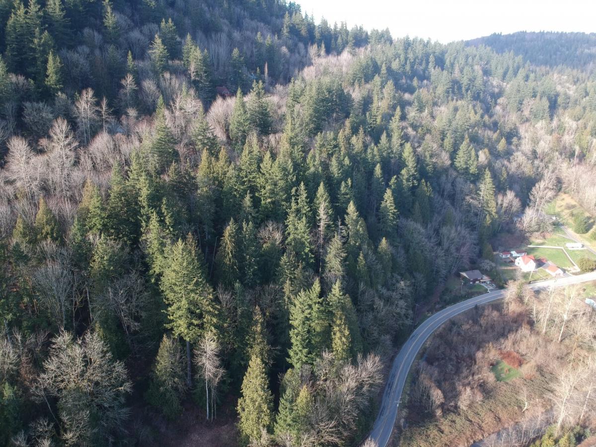 Picture of Residential Land For Sale in Issaquah, Washington, United States