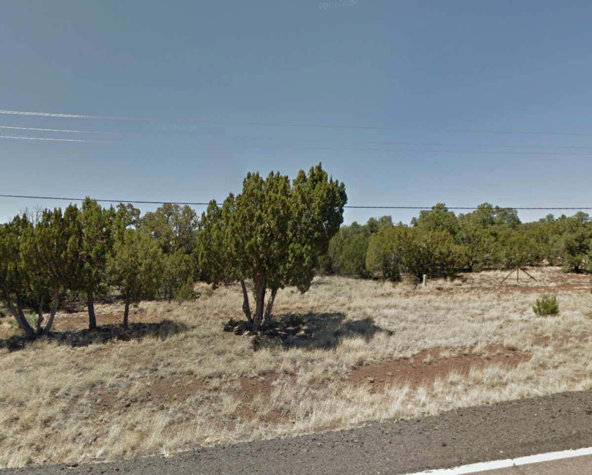 Picture of Residential Land For Sale in Concho, Arizona, United States