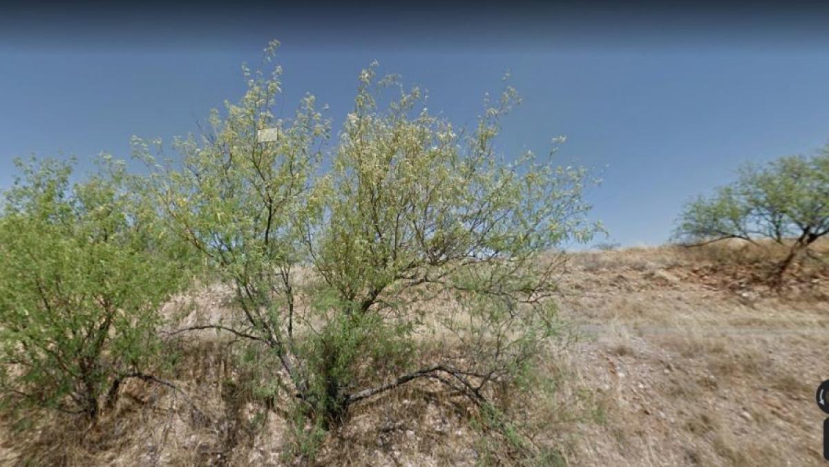 Picture of Residential Land For Sale in Rio Rico, Arizona, United States
