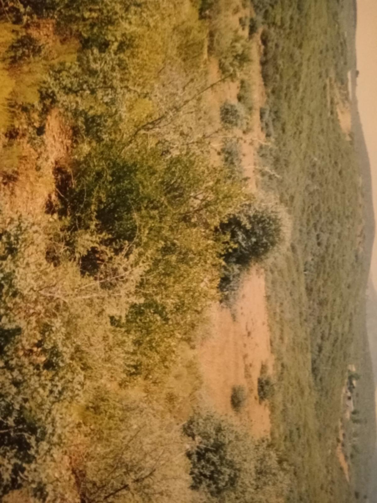 Picture of Residential Land For Sale in Mayer, Arizona, United States