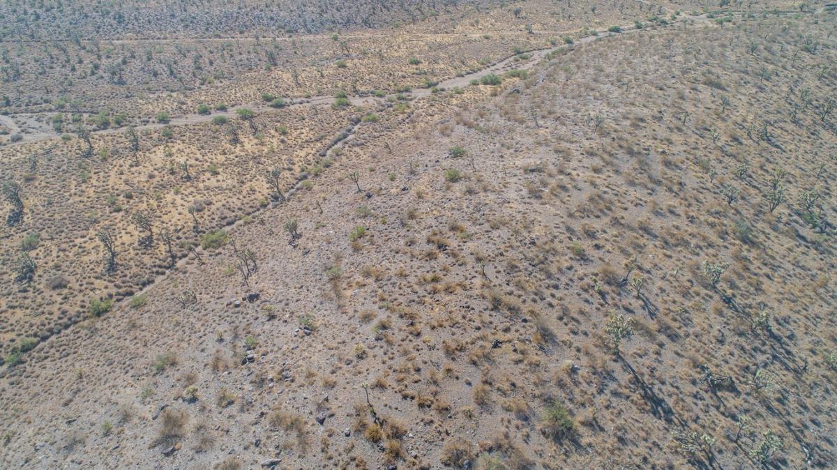 Picture of Residential Land For Sale in Dolan Springs, Arizona, United States