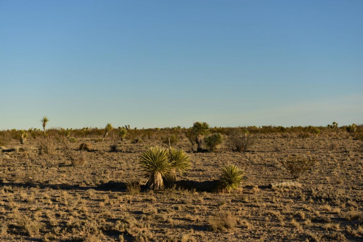 Picture of Residential Land For Sale in Pecos, Texas, United States