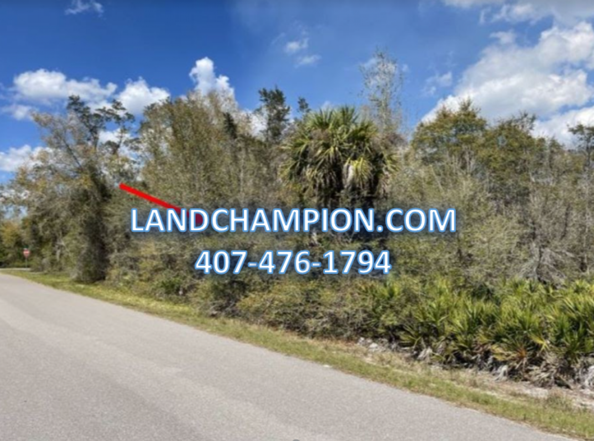 Picture of Residential Land For Sale in Punta Gorda, Florida, United States