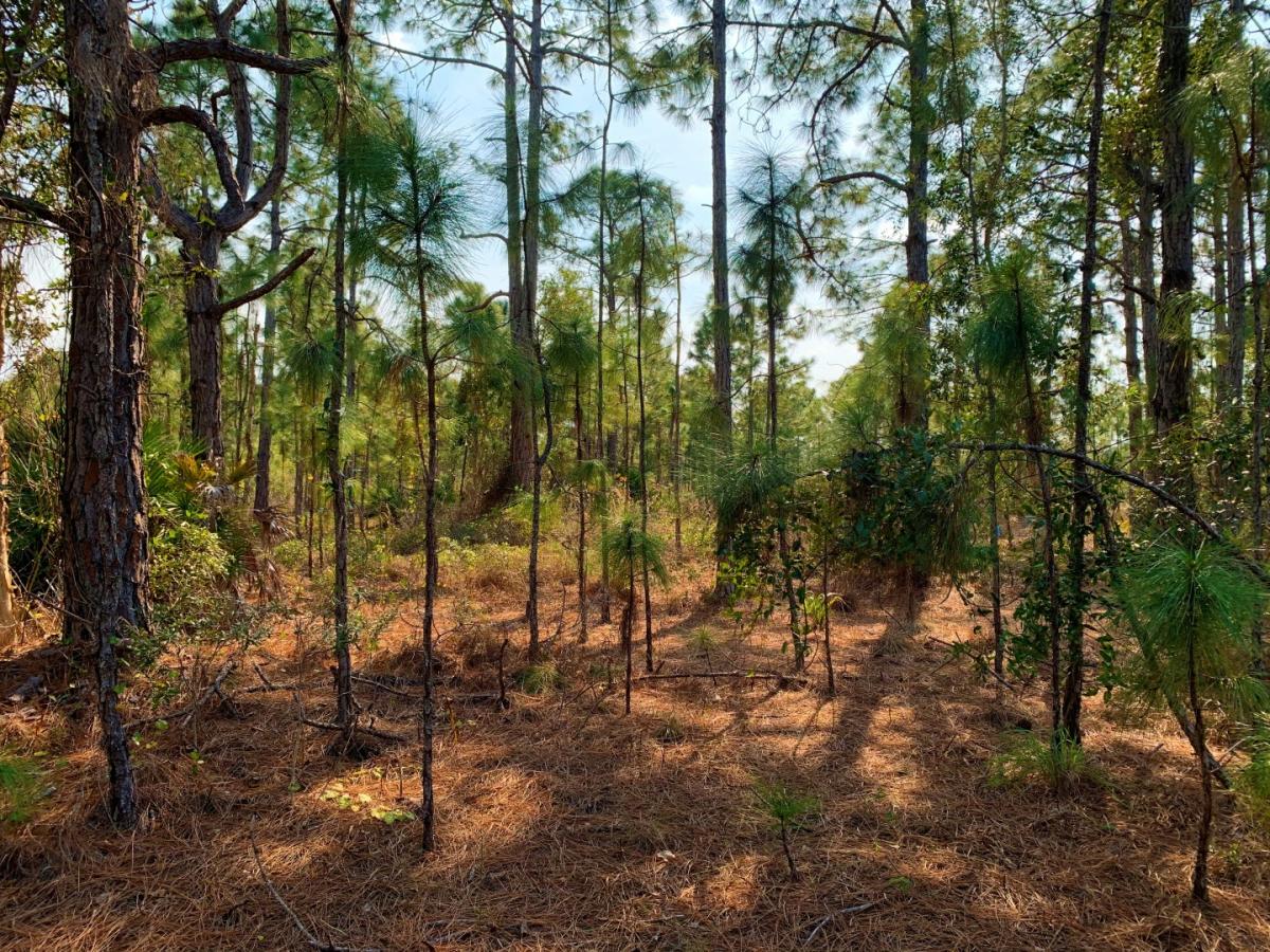 Picture of Residential Land For Sale in Punta Gorda, Florida, United States