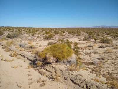 Residential Land For Sale in Twentynine Palms, California
