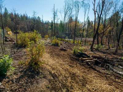 Residential Land For Sale in Berry Creek, California