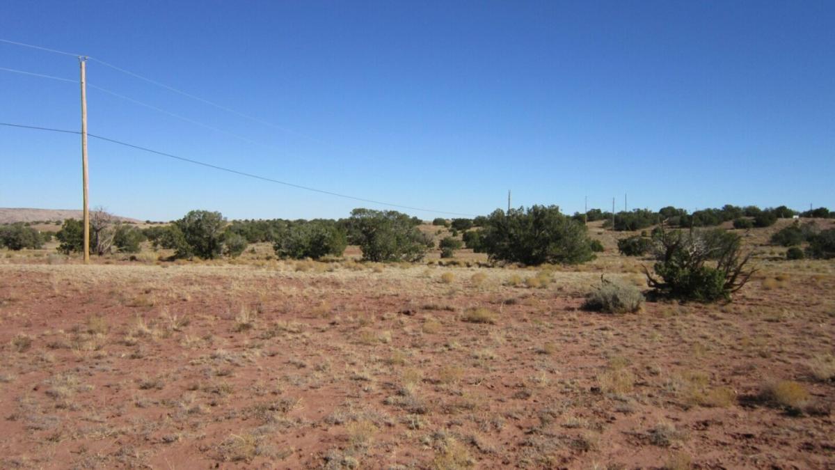 Picture of Residential Land For Sale in Adelanto, California, United States