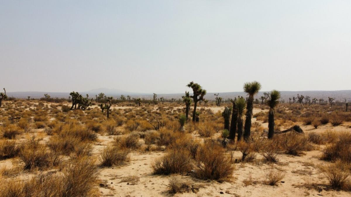 Picture of Residential Land For Sale in Tehachapi, California, United States