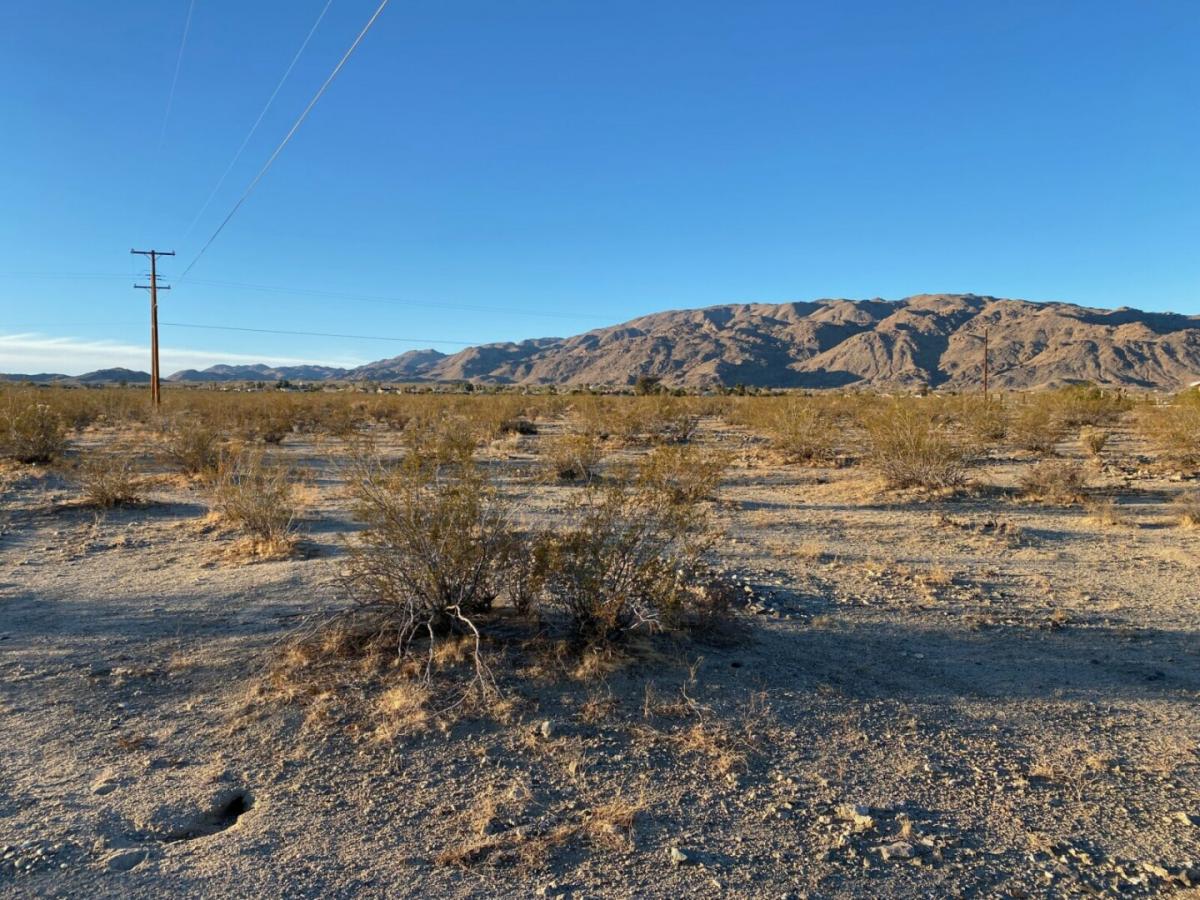 Picture of Residential Land For Sale in Twentynine Palms, California, United States