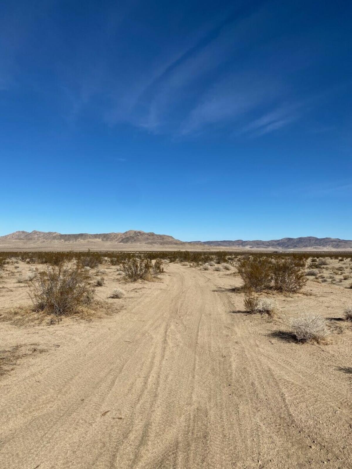 Picture of Residential Land For Sale in Landers, California, United States