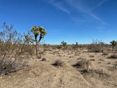 Residential Land For Sale in Yucca Valley, California
