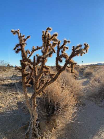 Residential Land For Sale in Joshua Tree, California