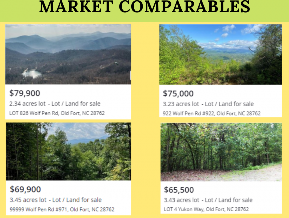 Picture of Residential Land For Sale in Marion, North Carolina, United States