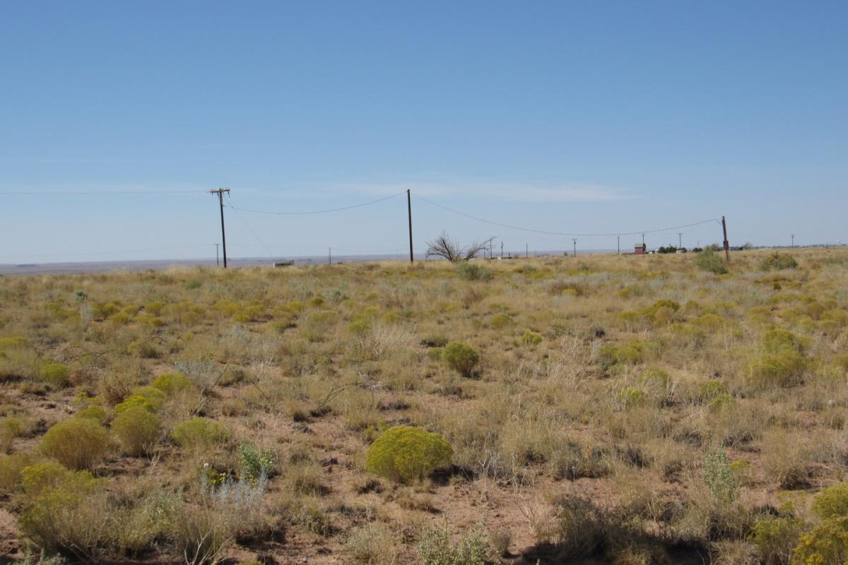Picture of Residential Land For Sale in Holbrook, Arizona, United States