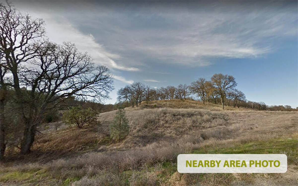 Picture of Residential Land For Sale in Corning, California, United States