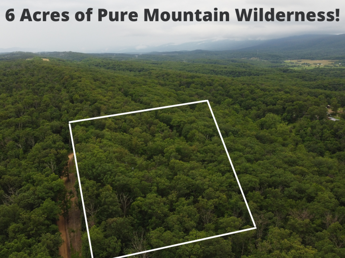 Picture of Residential Land For Sale in Winchester, Virginia, United States