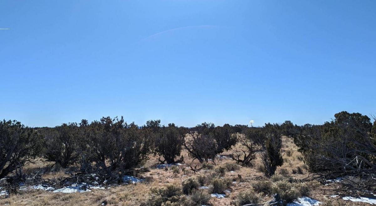 Picture of Residential Land For Sale in Saint Johns, Arizona, United States