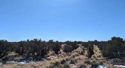 Residential Land For Sale in Saint Johns, Arizona